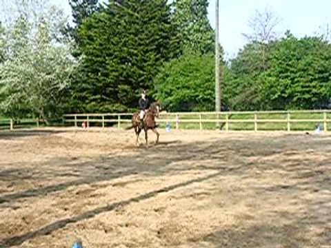 Marie et Madenn : Reprise de dressage