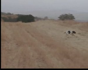 LORD&PANÇ KLASİĞİ MEKS