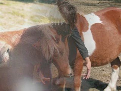 les écuries du clos