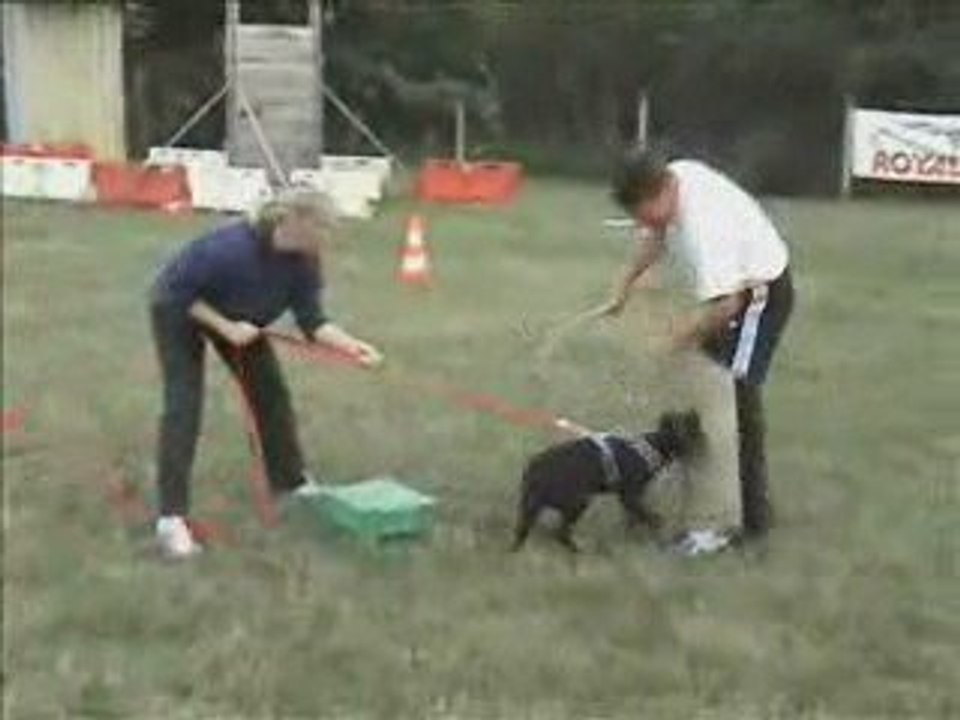 Arai suite de son entrainement