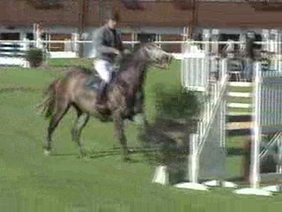 Reine d'Ideall poitiers 1er tour