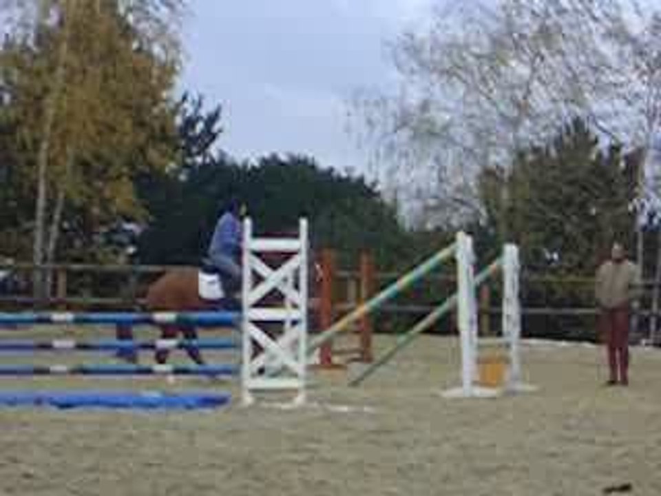 Junior saute 2