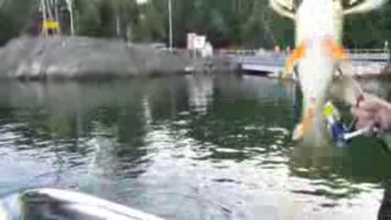 BALIK AVIM 13.9.2009 005