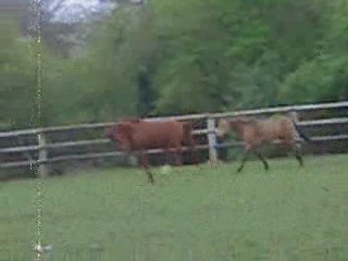 Sun et Sorcière chez Stephane ça fait un baille