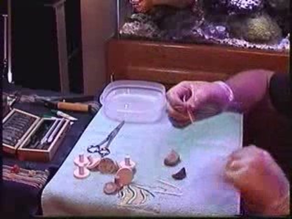 How to frag corals series: Toadstools