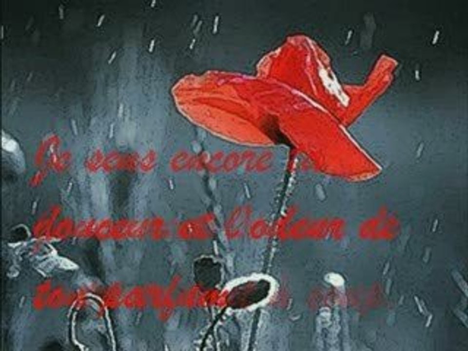 la fleur du souvenir
