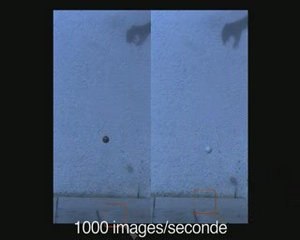 Diverses images en vidéo rapide (500 à 30000 i/s)
