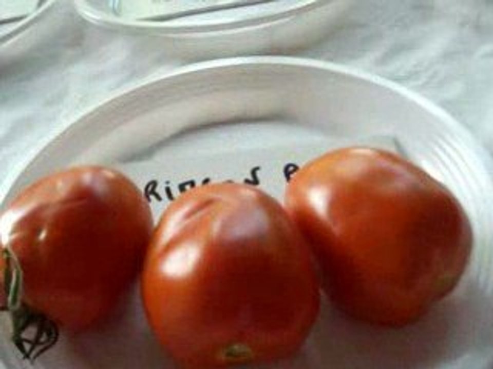 Pujols sur Ciron août 2009 052