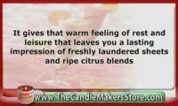 Home Scents For Candles: Real Orange Dreamsicle
