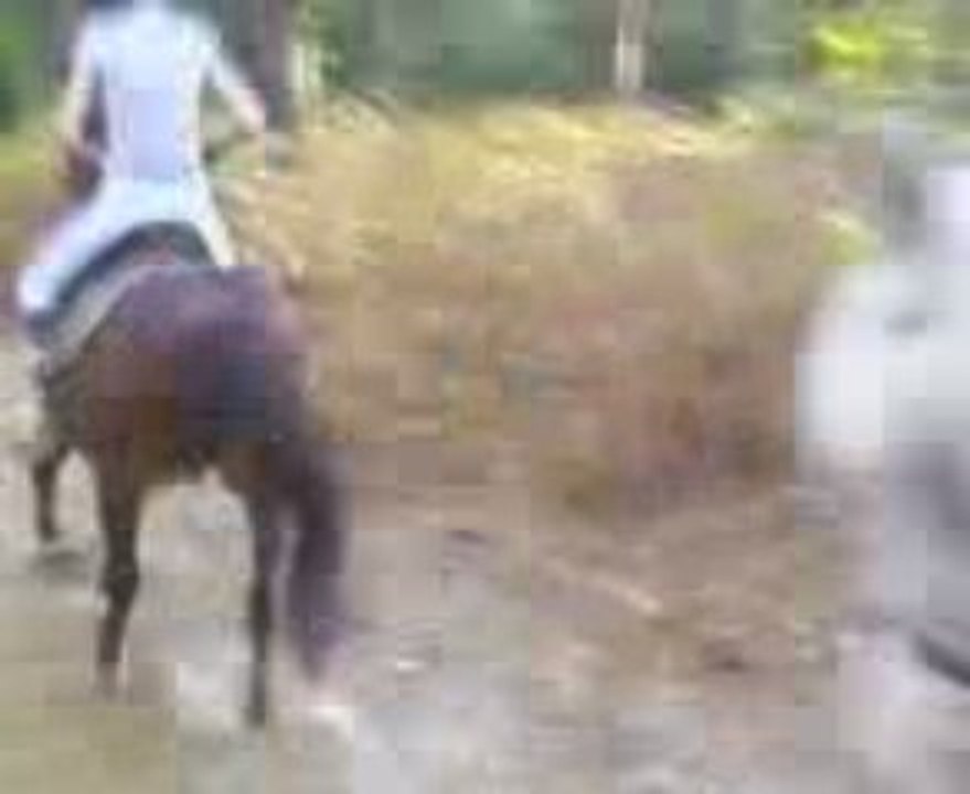 re coton