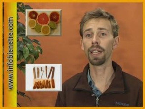 Aromathérapie Marc Ivo Böhning interview