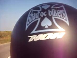 rassemblement mosquitos