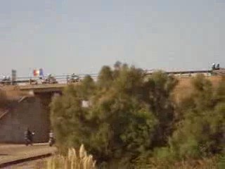 rassemblement mosquitos