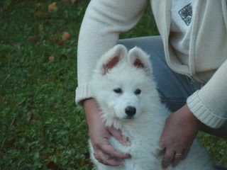 13.09.2009  EL-DIABLO AU CLUB CANIN