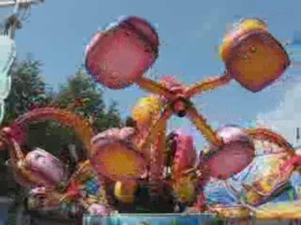 Nantes : foire d'automne 2009