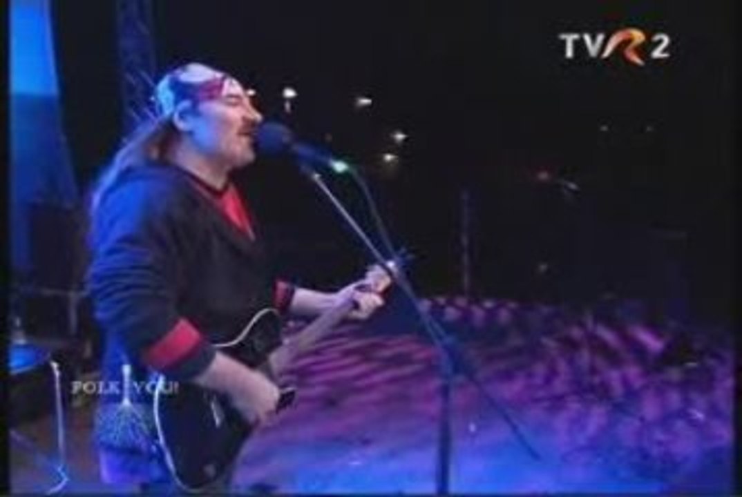 Vasile Seicaru - In Orasul cu Floare de Tei