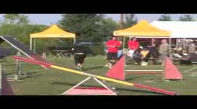 Astro Open Agility Belleville 13/09/2009