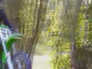 zo petite chute en 80 kx