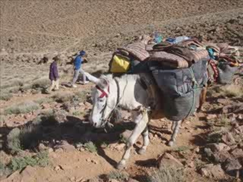 video sejours_randonnees_2010