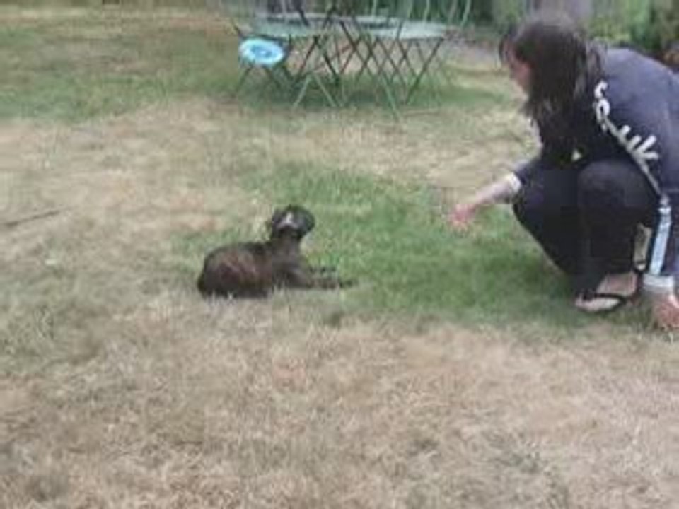Ewane dans le jardin vol.1