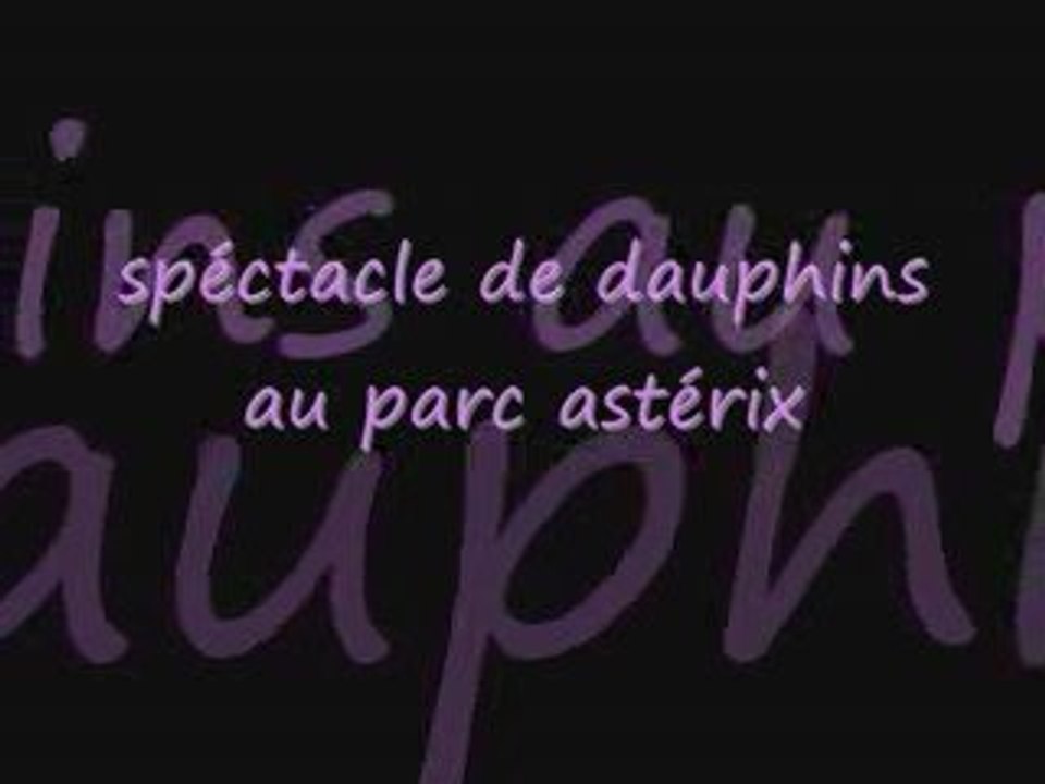 vidéo des dauphins
