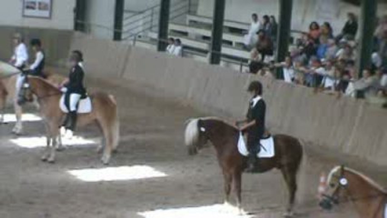 Championnat Nat Haflinger Rappel 3 ans montés bréviaires09