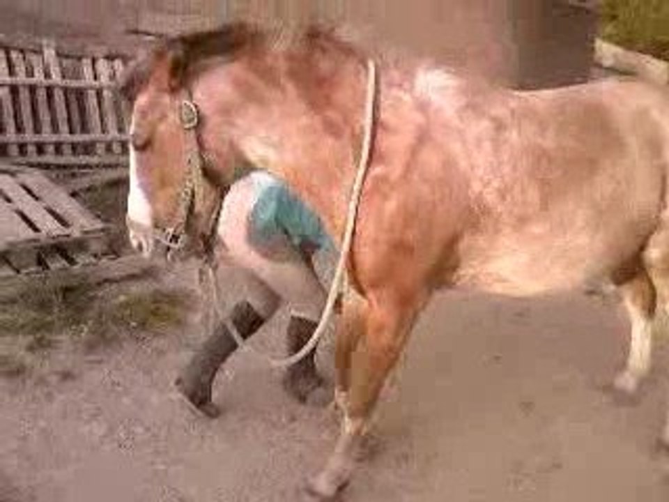 Video Nini 1