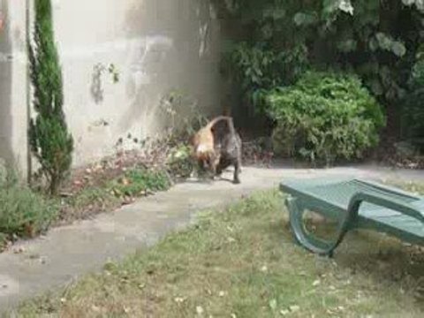 EWANE et EOLE dans le jardin vol.2