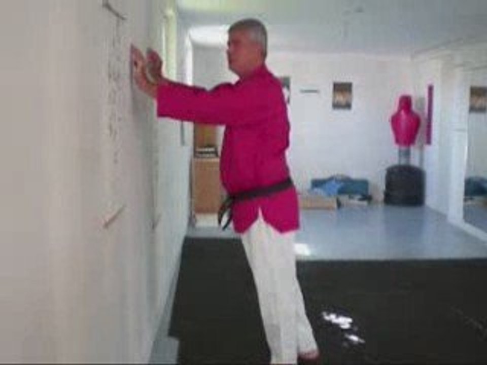 art martial ,Tin-ghi, Gymnastique chinoise