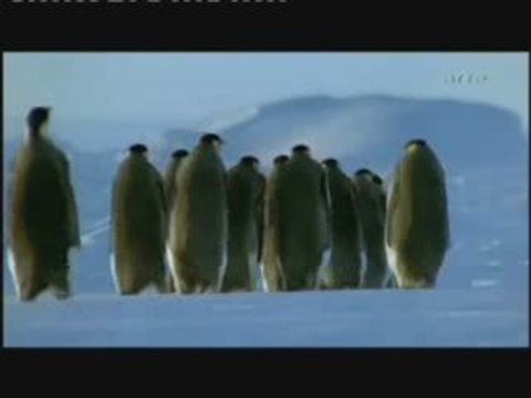 spiritualité 2sur 2 .... ( intelligence soufrance etc ....)