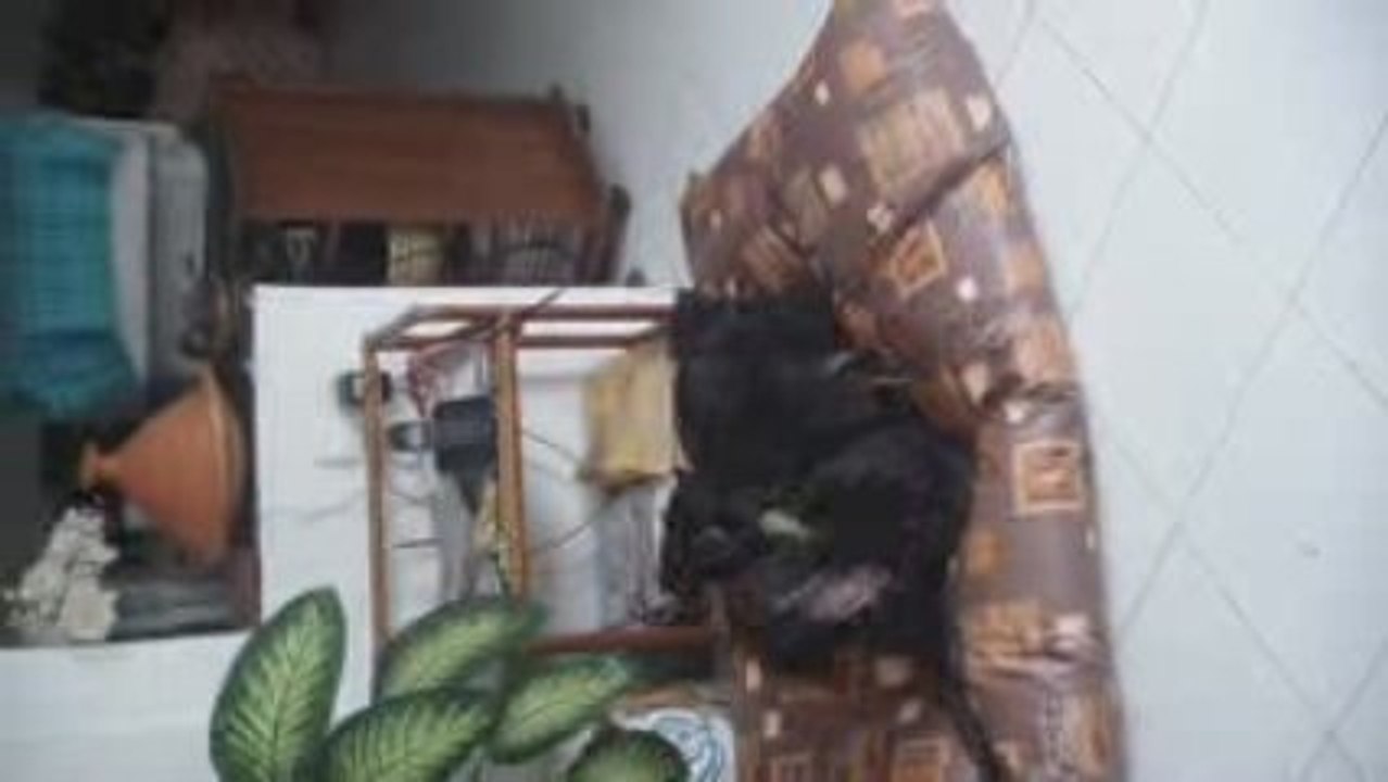 Rama&LN - 10.09.2009