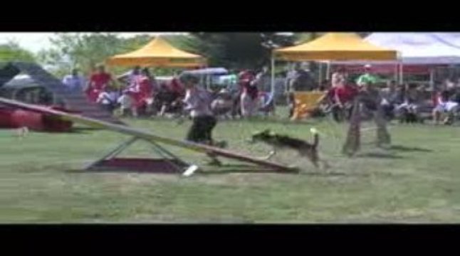 Astro GPF Agility Belleville 13/09/2009