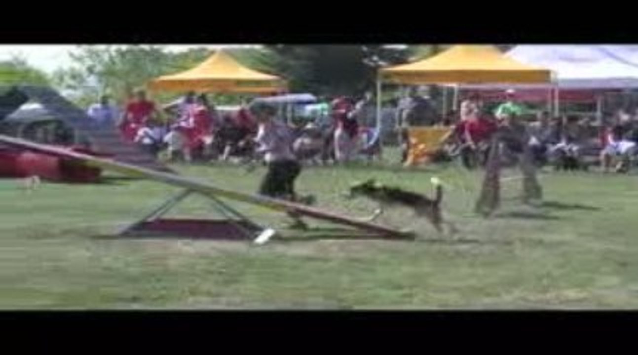 Astro GPF Agility Belleville 13/09/2009