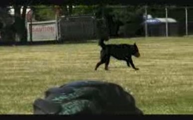 Syntheyes Test Guide