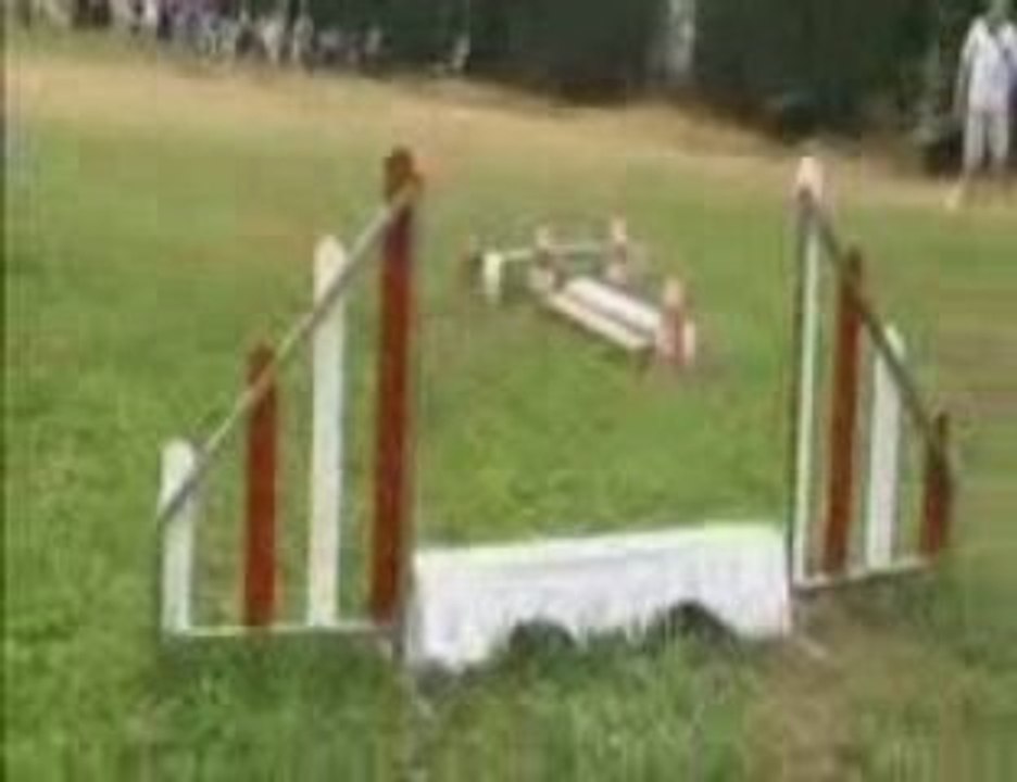 Parcours agility