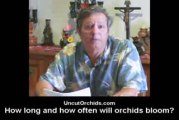 Uncut Orchids - How Long and How Often Will Orchids Bloom?