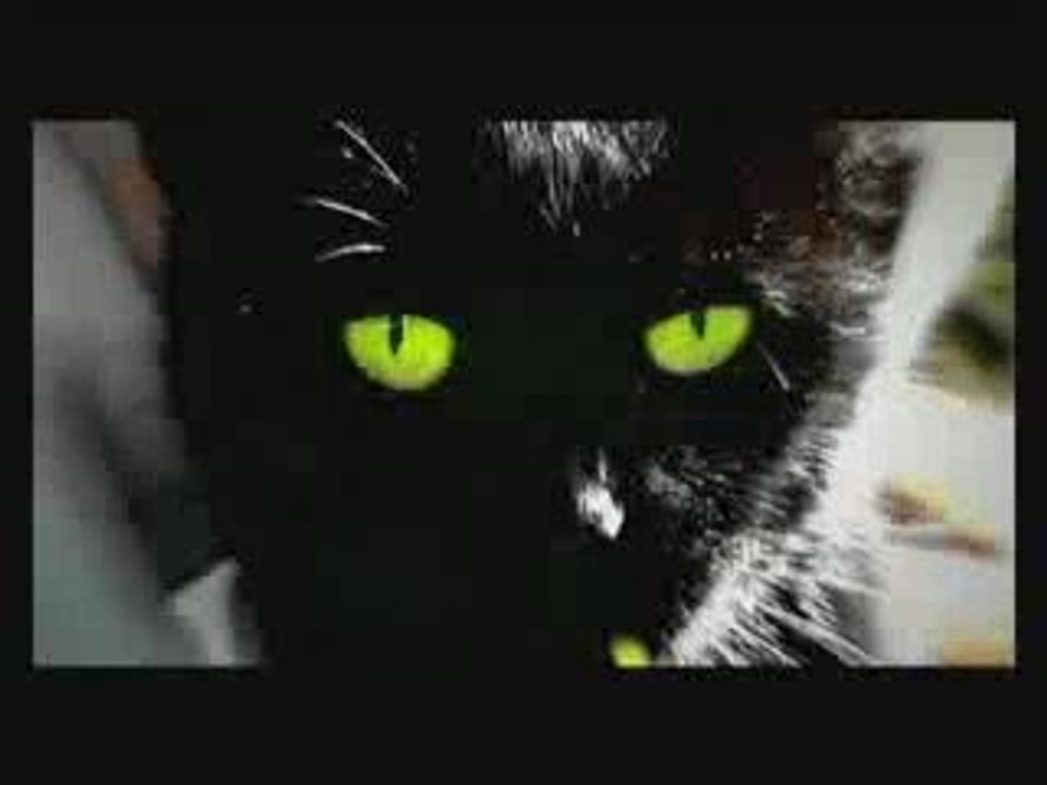 Liebe tut so weh - Alf Poier