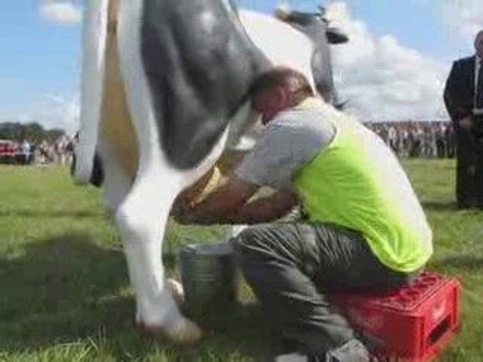 Dojenie krowy - Święto WSI - KRZECZKOWO 2009