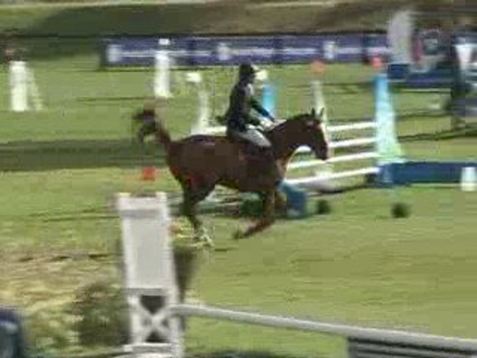 quenndal Fontainebleau 5 ans hongre
