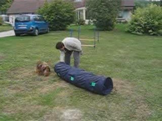 Britol s'essaie aussi à l'agility !!mdr
