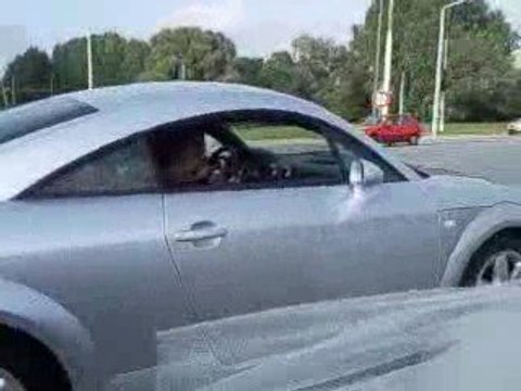 gitan - les gens du voyage 03