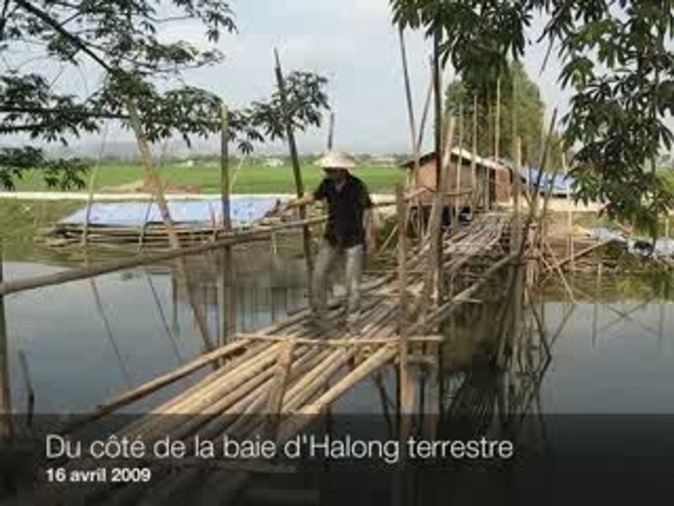 Du côté de la baie d'Halong terrestre