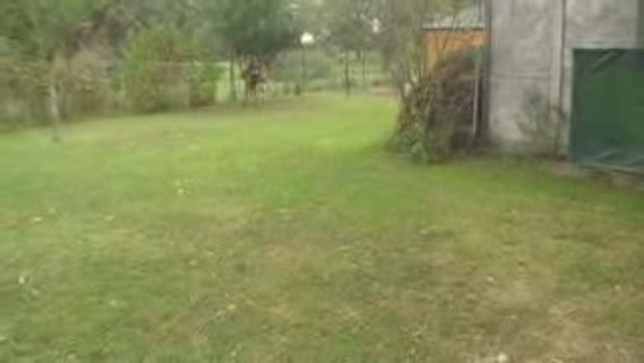 MOV02C