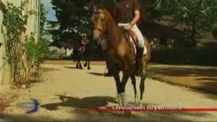 Les journées du patrimoine au haras (La Roche-Sur-Yon)