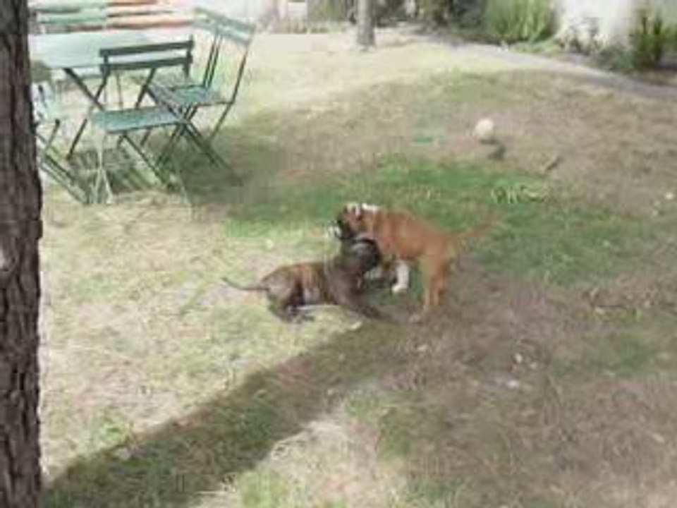 EWANE et EOLE dans le jardin vol.4