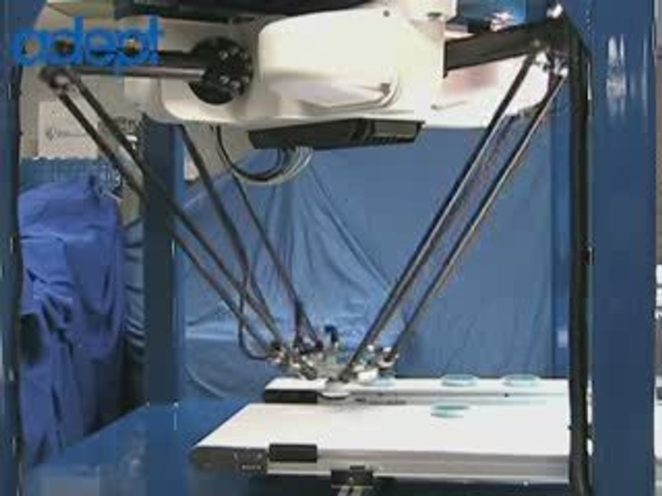 Adept Quattro 650 robot handling petri dishes