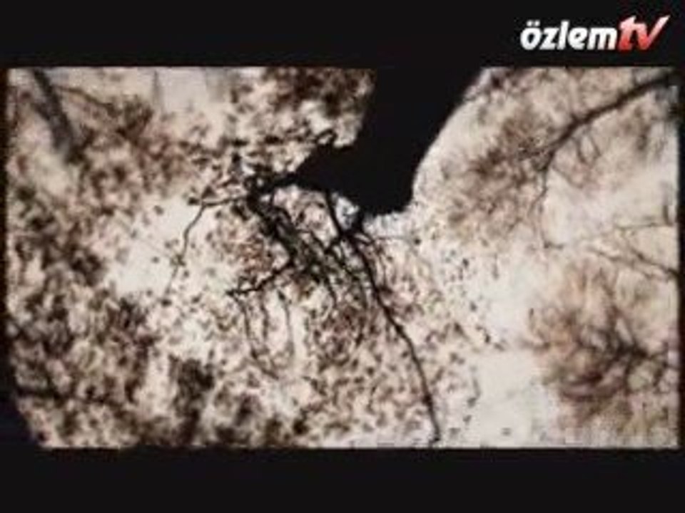 AYDIN ÖZTÜRK - ÖMRÜM SENİNDİR