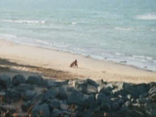 douce france et eau salée