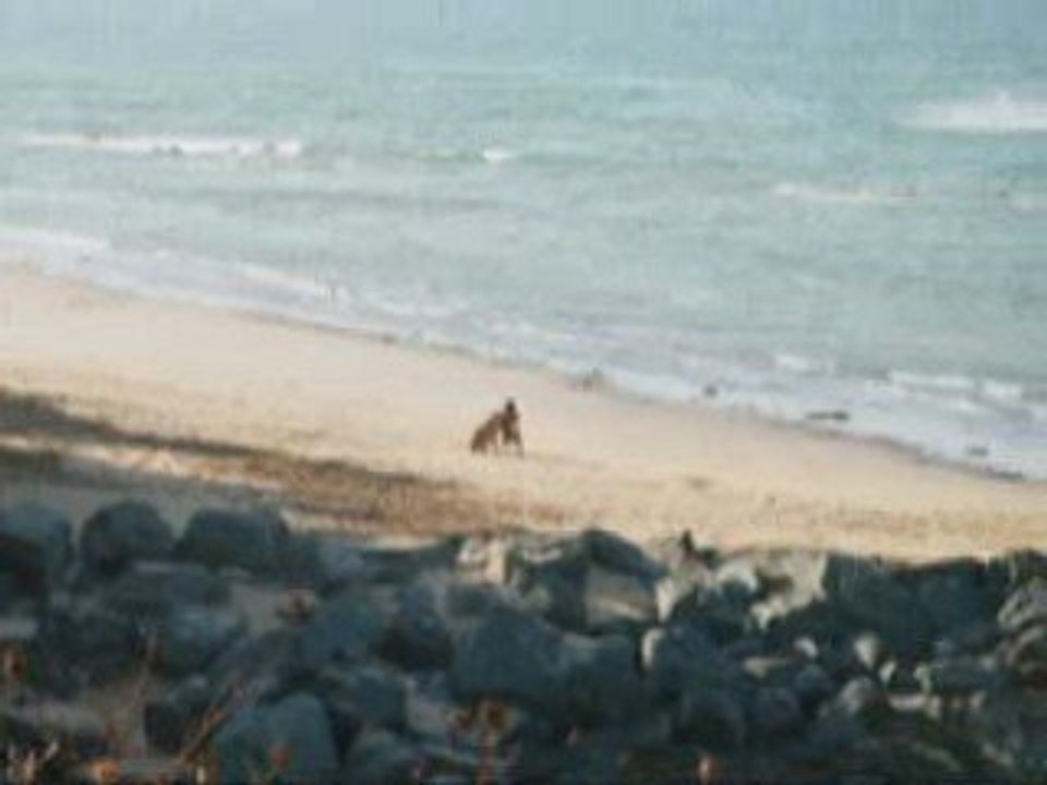 douce france et eau salée