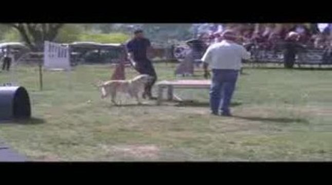 Alaska GPF Agility Belleville 13/09/2009